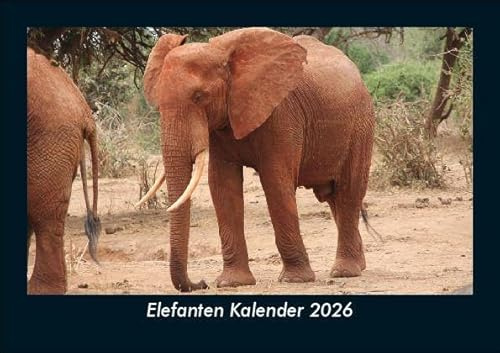 Elefanten Kalender 2026 Fotokalender DIN A5: Monatskalender mit Bild-Motiven von Haustieren, Bauernhof, wilden Tieren und Raubtieren
