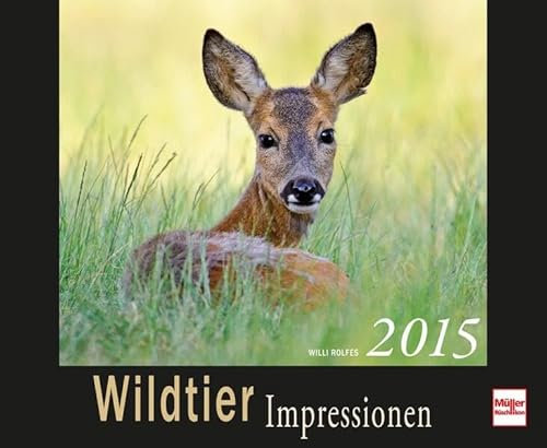 Wildtier Impressionen Kalender 2015