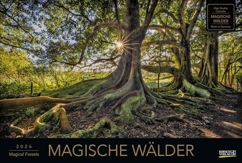Magische Wälder 2026: Großer Foto-Wandkalender mit Bildern aus bunten Wäldern. Edler schwarzer Hintergrund. PhotoArt Panorama Querformat: 58x39 cm.