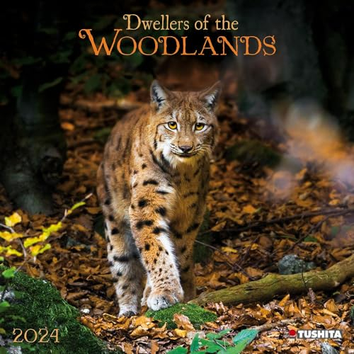 Woodlands/Bewohner des Waldes 2024: Kalender 2024 (Wonderful World)