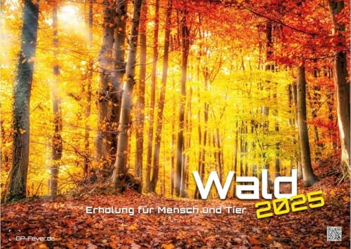 Wald - Erholung für Mensch und Tier - 2025 - Kalender DIN A3: Der Wandkalender mit den schönsten Motiven unserer Wälder für das Jahr 2025 im Format DIN A3 (ca. 42 x 30 cm)!