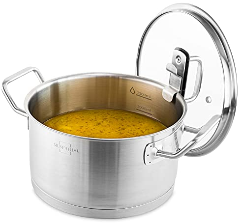 SILBERTHAL Olla 20 cm con tapa de cristal - Cazuela acero inoxidable 18/10 - Inducción y horno - Calienta rápido
