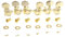 Musiclily Ultra 3L3R Roto-Style Geschlossen Gitarre Mechaniken für Les Paul LP SG Style E-Gitarre oder Akustikgitarre, Gold
