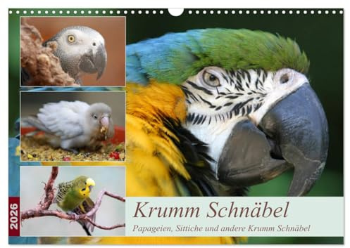 Krumm Schnäbel - Papageien, Sittiche und andere Krumm Schnäbel (Wandkalender 2026 DIN A3 quer), CALVENDO Monatskalender: Ein paar der schönen ... Kalender fotografiert. (CALVENDO Tiere)