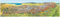 MARCO POLO Das Große Alpen Panorama Sommer, plano in Hülse: 1:400000 (MARCO POLO Panorama)