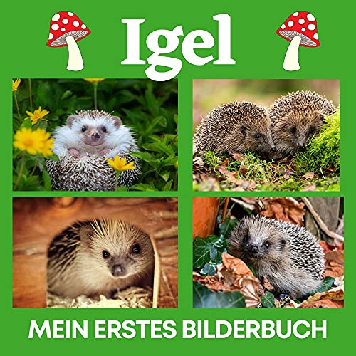 Igel: Mein erstes Bilderbuch