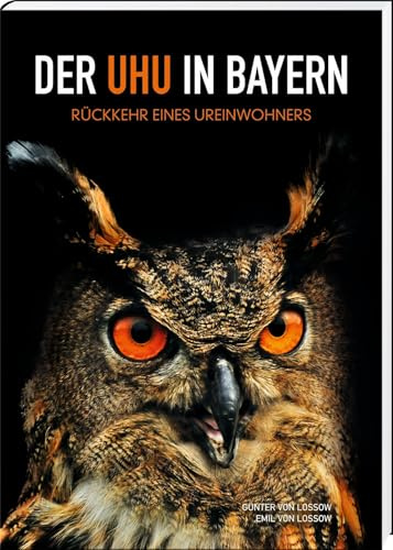 Der Uhu in Bayern: Rückkehr eines Ureinwohners