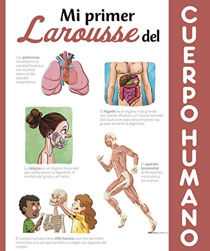 Mi primer Larousse del cuerpo humano (LAROUSSE - Infantil / Juvenil - Castellano - A partir de 8 años)