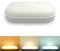 YJY LIGHT LED Deckenlampe 14W 1600LM Kellerlampe Oval 48MM Wandlampe CCT 3000K/4000K/6000K Badlampe Decke IP54 Wasserfest 230V Deckenleuchte Flach für Badezimmer Wohnzimmer Keller Flur (1 Stück)