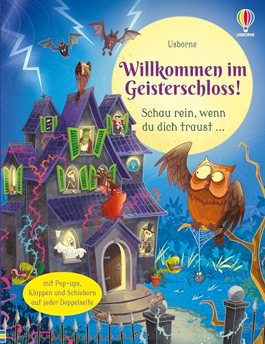 Willkommen im Geisterschloss!: Schau rein, wenn du dich traust… Buch mit Pop-ups, Klappen und Schiebern auf jeder Doppelseite – ab 3 Jahren
