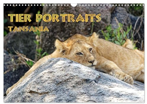 Tier Portraits Tansania (Wandkalender 2026 DIN A3 quer), CALVENDO Monatskalender: Die Schönheit und Einzigartigkeit der Tierwelt Tansanias eingefangen in ausdrucksstarken Bildern (CALVENDO Tiere)