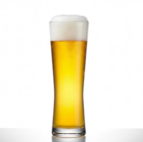 BARCRAFTERS Bierglas 0,3L Kunststoff Mehrweg | 2 er Set | GASTRO | Bierstange | Bierglas Longdrink