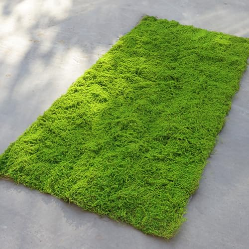Xiyocadt Kunst Moos Deko, Moosmatte, PE-Filamentgarn Moos zum Basteln für Frühlingsdeko, Moosbilder, Floristik, Terrarium Dekoration (50x100 cm)