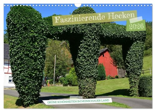 Faszinierende Hecken - Grüne Schönheiten im Monschauer Land (Wandkalender 2026 DIN A3 quer), CALVENDO Monatskalender: Als es noch Eiseskälte im Winter gab ... (CALVENDO Orte)