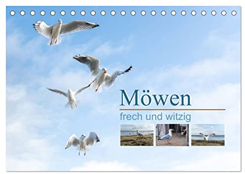 Möwen frech und witzig (Tischkalender 2026 DIN A5 quer), CALVENDO Monatskalender: Ein Kalender der fröhlich macht und zum Schmunzeln anregt (CALVENDO Tiere)