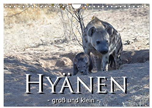 Hyänen - groß und klein (Wandkalender 2026 DIN A4 quer), CALVENDO Monatskalender: Hyänen und Ihr Nachwuchs in der freien Wildnis Afrikas (CALVENDO Tiere)