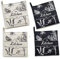 ZORR Set di 4 presine da Cucina per Cottura Cucina con motivo di piante profumate, Colore sabbia+ Nero