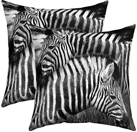 Loussiesd 2er Set Kissenbezüge Zebra Kissenbezüge 60x60cm Wilde Tiere Dekokissen für Home Wohnzimmer Dekor Kissenhülle Kissenbezug Umkehrbar Schwarz und Weiß Tiere Dekorative Wurf Dekokissen