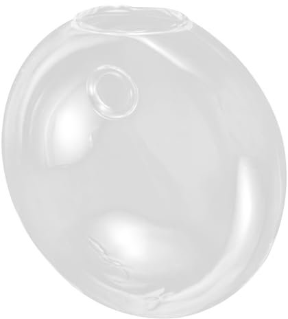 HOLIDYOYO Macetero De Vidrio Florero Hidropónico Florero De Pared Plantas Hidropónicas