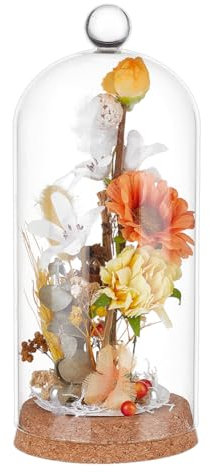 BENECREAT Glass Display Dome Cloche with Round Top Handle, 20.5x9cm Dome Decorative Jars, Glass Cover with Cork Base for Specimens Plants DIY Decor