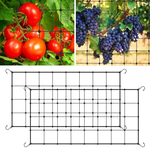 2 Stück Zelt Netz,Scrog Netz,Ranknetz für Kletterpflanzen mit Haken,Elastisches Pflanzennetz für Pflanzen,Gemüse,Obst,Garten,Balkone(schwarz,60x90cm)