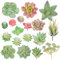 VINFUTUR 18 Pz Succulente Piante Artificiali Piante Grasse Finte per Giardino Interno e Esterno Decorazione Casa Davanzale Cucina Scrivania