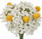 HUAESIN 10pcs Künstliche Blumen Schleierkraut Getrocknete Blumen Craspedia Globosa Trockenblumen Gelb Kunstblumen Gypsophila Deko für Hochzeit Vase Zuhause Büro Feiern DIY Dekoration
