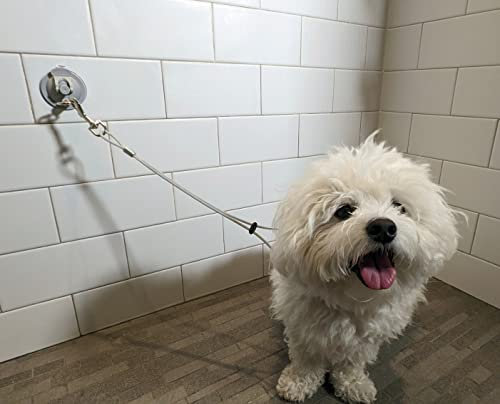 Pawbble Bath 2.0 Hundebadewanne, Saugnapf und Haltegurt