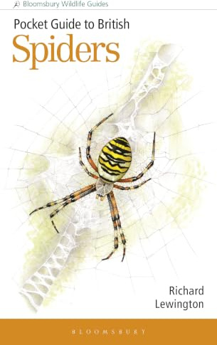 Pocket Guide to British Spiders (Bloomsbury Wildlife Guides)
