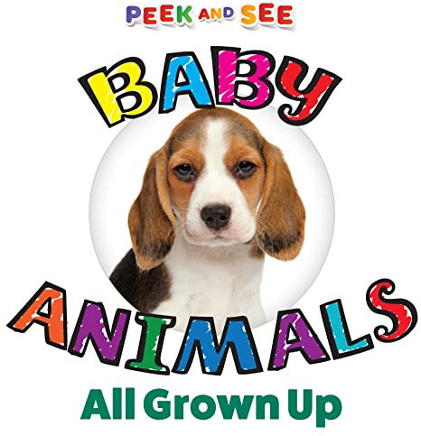 Peek and See Baby Animals All Grown Up (Happy Fox Books) Board Book for Kids Ages 1-3 with Baby and Adult Sloths, Owls, and More, Peek-a-Boo Elements, Rounded Corners, and Easy Wipe-Clean Pages