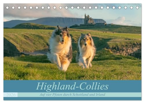 Highland-Collies - Auf vier Pfoten durch Schottland und Irland (Tischkalender 2026 DIN A5 quer), CALVENDO Monatskalender: Collies und Schottland: Eine unsterbliche Liebe! (CALVENDO Tiere)