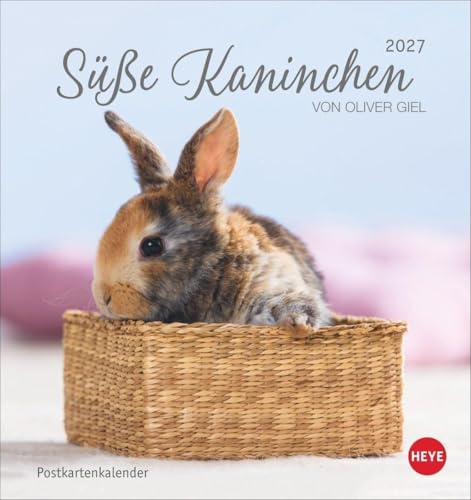 Süße Kaninchen Postkartenkalender 2027: Tierfotograf Oliver Giel setzt in einem kleinen Kalender niedliche Häschen in Szene. Tischkalender im Postkartenformat.