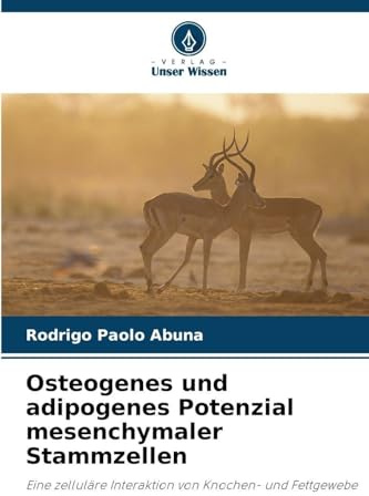 Osteogenes und adipogenes Potenzial mesenchymaler Stammzellen: Eine zelluläre Interaktion von Knochen- und Fettgewebe