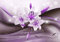 decomonkey Fototapete Blumen Lilien 450x315 cm XL Tapete Wandbild Wandbild Bild Fototapeten Tapeten Wandtapete Wandtapete Abstrakt violett