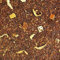 SABOREATE Y CAFE THE FLAVOUR SHOP Tè Rooibos Arancia Fiori d'arancio Infuso Isotonico Naturale Dimagrante 1 kg