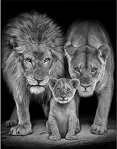 DCIDBEI Diamond Painting Eckige Steine 40x50 cm Malen nach Zahlen Löwe Diamant Malerei Diamond Painting König der Löwen Kreuzstich Stickerei Leinwand Bilder Erwachsene Diamond Painting Löwe und Löwin