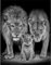 DCIDBEI Diamond Painting Eckige Steine 40x50 cm Malen nach Zahlen Löwe Diamant Malerei Diamond Painting König der Löwen Kreuzstich Stickerei Leinwand Bilder Erwachsene Diamond Painting Löwe und Löwin