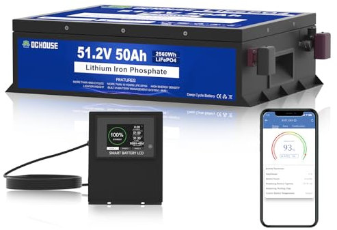 DCHOUSE 48V 50AH LiFePO4 Golfwagen Batterie, 100A BMS, mit Bluetooth &Touch LCD Monitor, Niedertemperaturabschaltung, 2C Entladerate, Spitzenstrom 200A für Rasenmäher, Golf Carts, Solaranlage
