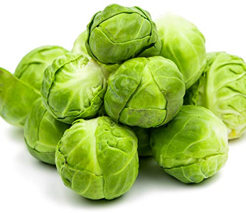Vegetable Plants - Brussels Sprouts 'Brigitte' - 6 x Plug Plant Pack - Brussels Plants - Garden Ready + Ready to Plant - Premium Quality Sprouts