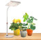 JINHONGTO Pflanzenlampe, Tischplatte Pflanzenlampe LED Vollspektrum, Höhenverstellbar und Daisy Chain Funktion, Pflanzenlicht LED Vollspektrum, Weiß Grow Lampe, Pflanzenlampe für Zimmerpflanzen