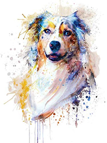 YUNLINZI DIY Malen Nach Zahlen Kits Für Kinder Erwachsene Anfänger, Australian Shepherd Portrait 40X50 cm Leinen Leinwand Ölgemälde Für Schlafzimmer Wohnzimmer Wanddekoration Handgemalte Geschenke