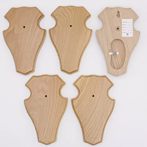REH - Placas de trofeos (5 unidades, roble claro, AF 18,5 x 11 cm, con compartimento de pino)