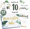 45 Baby Meilensteinkarten Tropical Green Milestone Cards Meilenstein Karten Geschenkset + Geschenkbox schöne Geschenkidee zur Geburt, werdende Mutter, Babyparty
