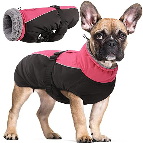 Wasserdichter Hundemantel Winter Warme Hundejacke, Hundebekleidung Outfit für kleine mittel große Hunde, Hundepullover mit Sicheren Reflexstreifen für Labrador Chihuahua Französische Bulldogge
