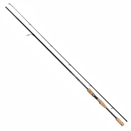 Spinnrute Carbon Spin 270cm 10-30g