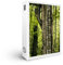 raxxa Premium-Puzzle | Wohnen im Baumhaus | 1000 Teile