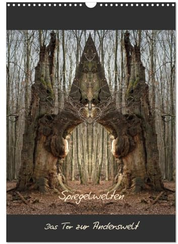 Spiegelwelten - Das Tor zur Anderswelt (Wandkalender 2026 DIN A3 hoch), CALVENDO Monatskalender: Einblick in die multidimensionale Welt der Natur (CALVENDO Kunst)
