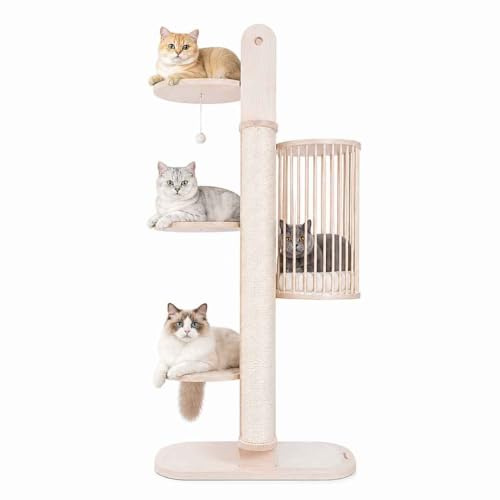 PetRhein Kratzbaum 170 cm Groß – Katzenbaum | Mehrstöckig mit 5 Plattformen, Katzenhöhle & Hängematte – Stabiler Kletterturm mit Sisal-Kratzsäulen für Mehrkatzen-Haushalte