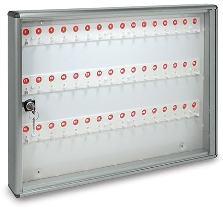 ALUBOX Bacheca Portachiavi Da Parete In Alluminio 30X5X14 Cm Porta Chiavi Da Muro Per Casa Interno O Esterno Protetto Made In Italy Con 48 Ganci Numerati (ARGENTO METALLIZZATO)