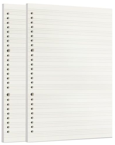Zelten Loose Leaf Punched Paper Refills Paper for 6 Hole Binder Personal Organizer Diary Notebook Refillable Planner (Handwriting Practice Paper,B5/26 Hole)
